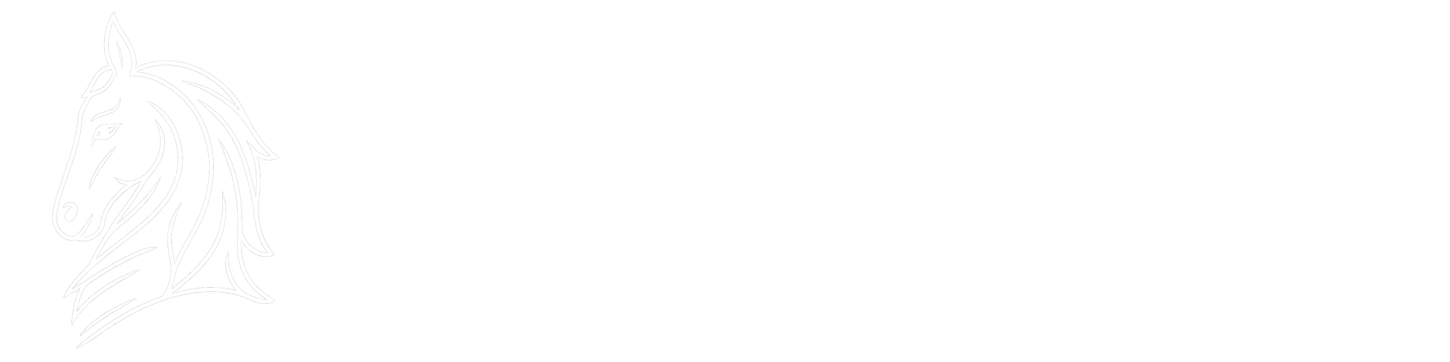 Буковинська Троя